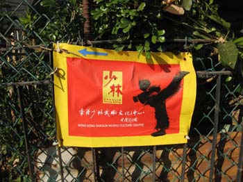 life (230)